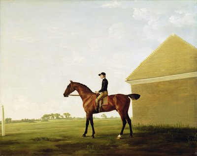 Turf, c.1765 by George Stubbs
